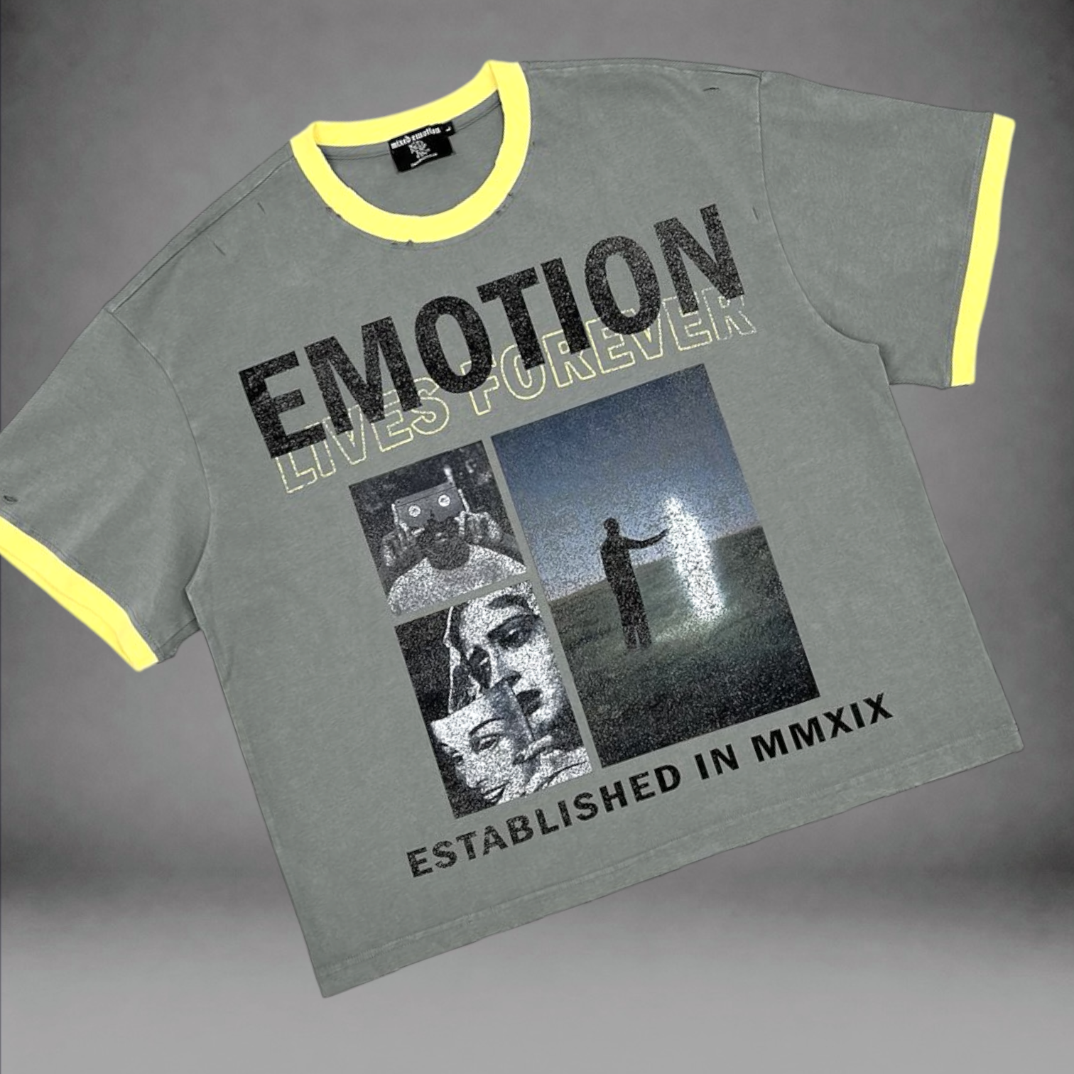Mixed Emotions- Secret T-shirt - Grey