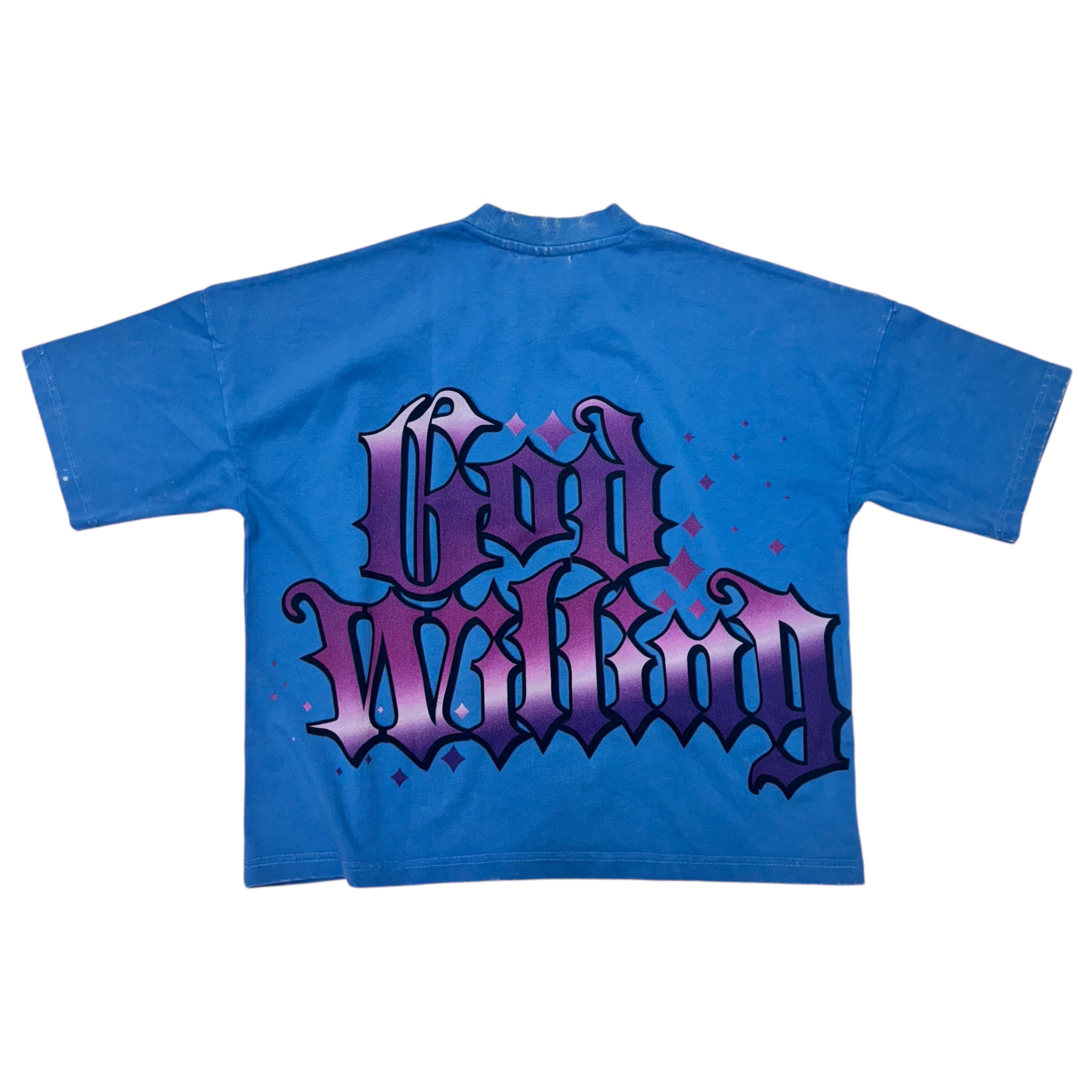 Stray Prosperous Sleeve Crop T-Shirt Blue T1361