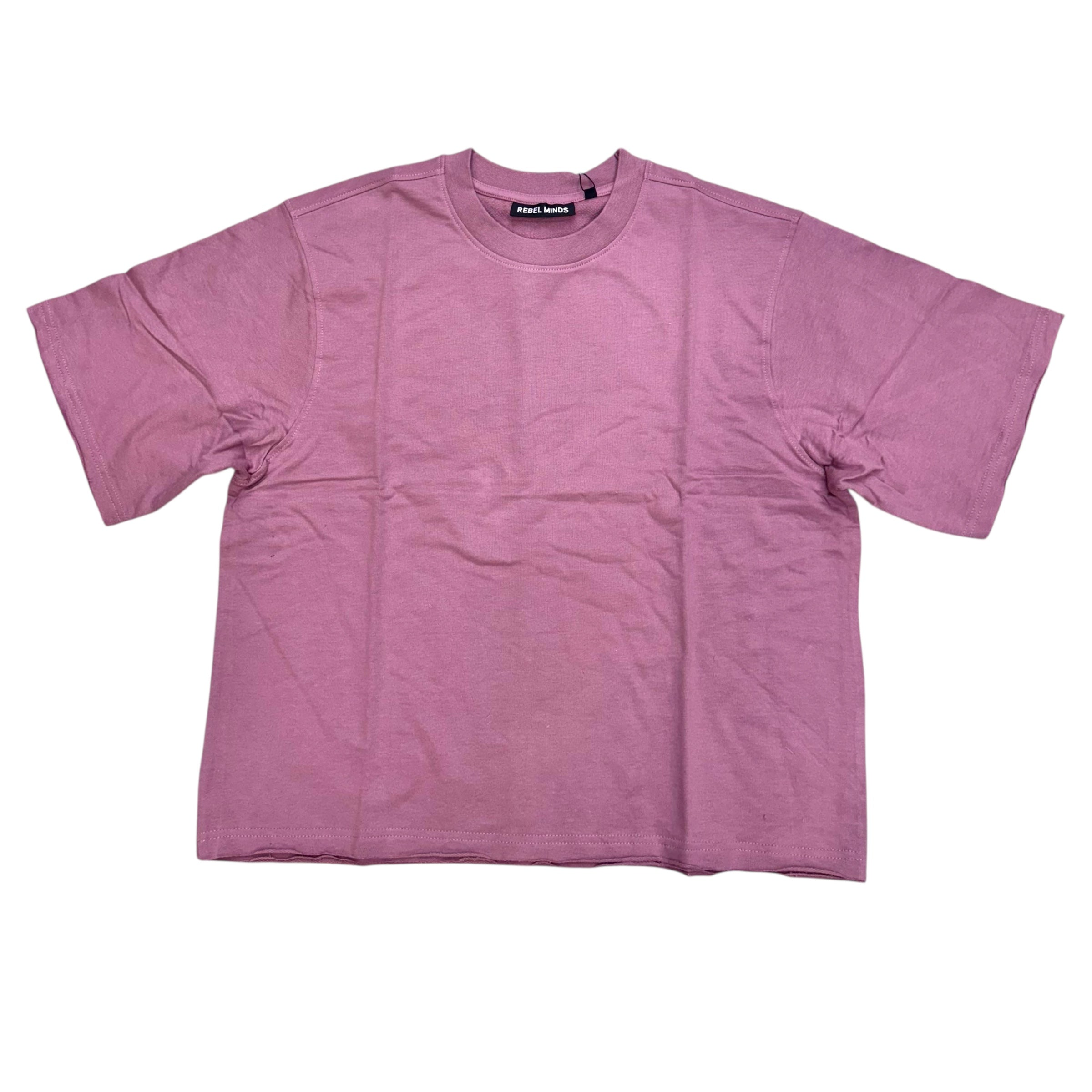 Rebel Clean Box Fit T-shirt Sage Pink 161