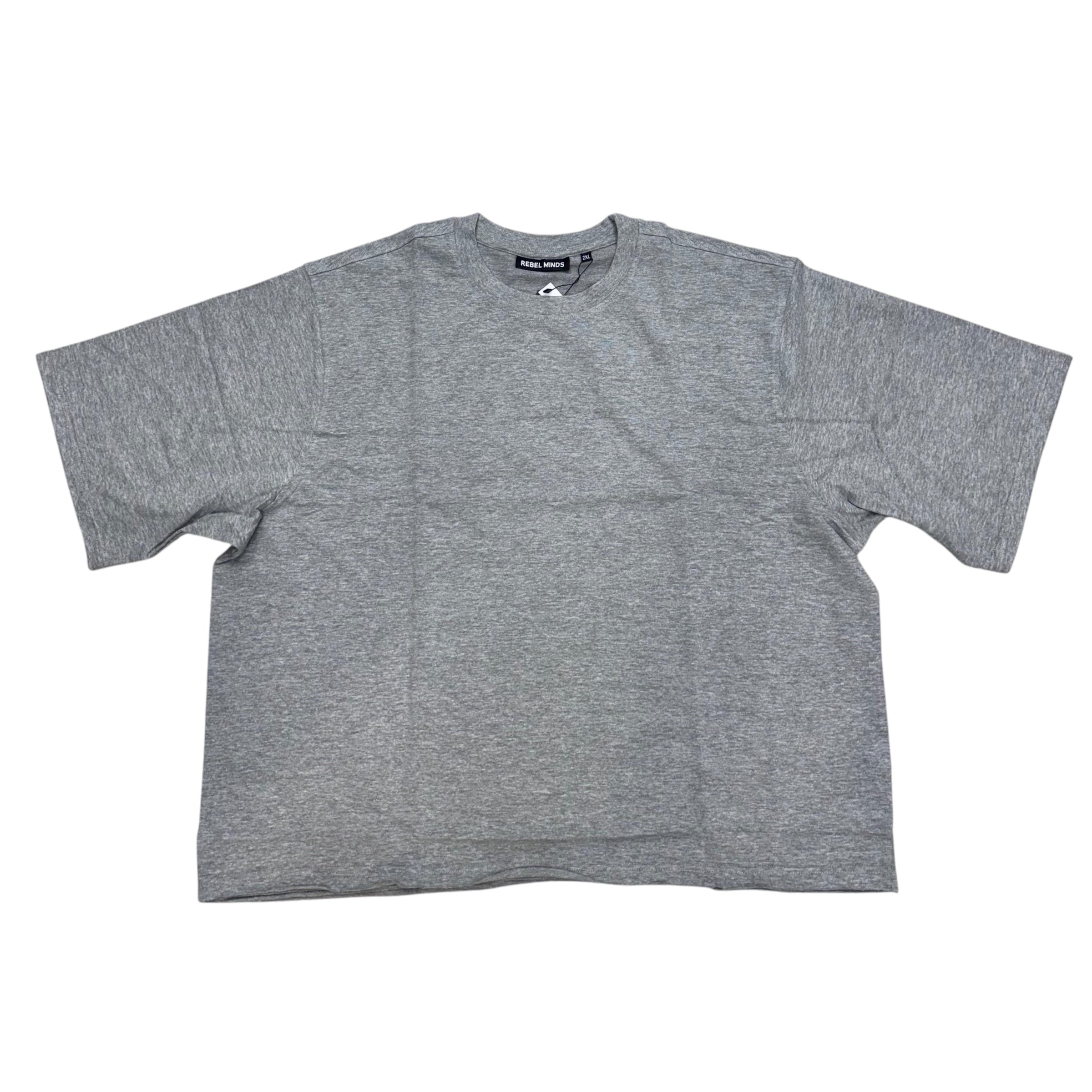 Rebel Clean Box Fit T-shirt Grey 161