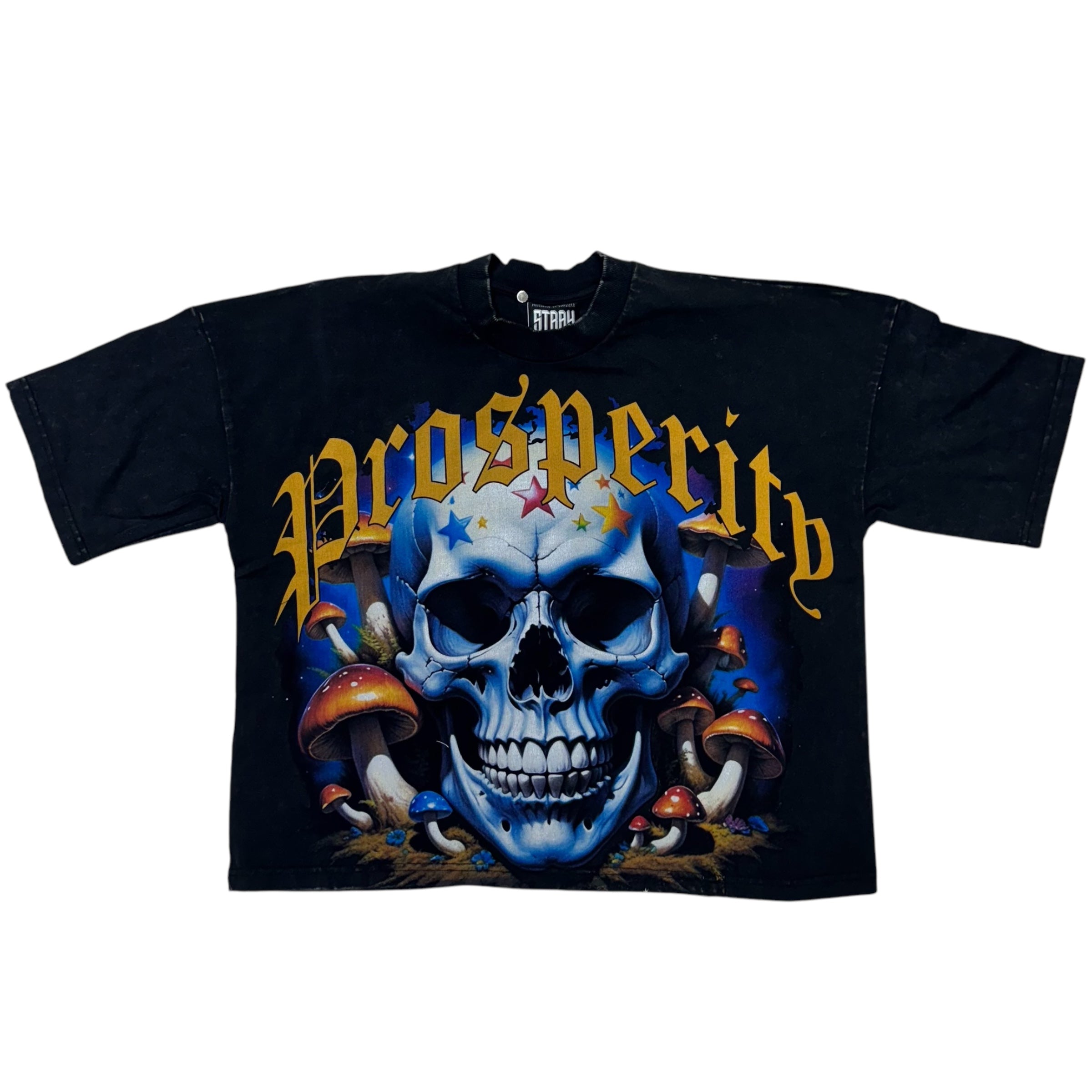 Stray Prosperous Crop T-Shirt Black T1357