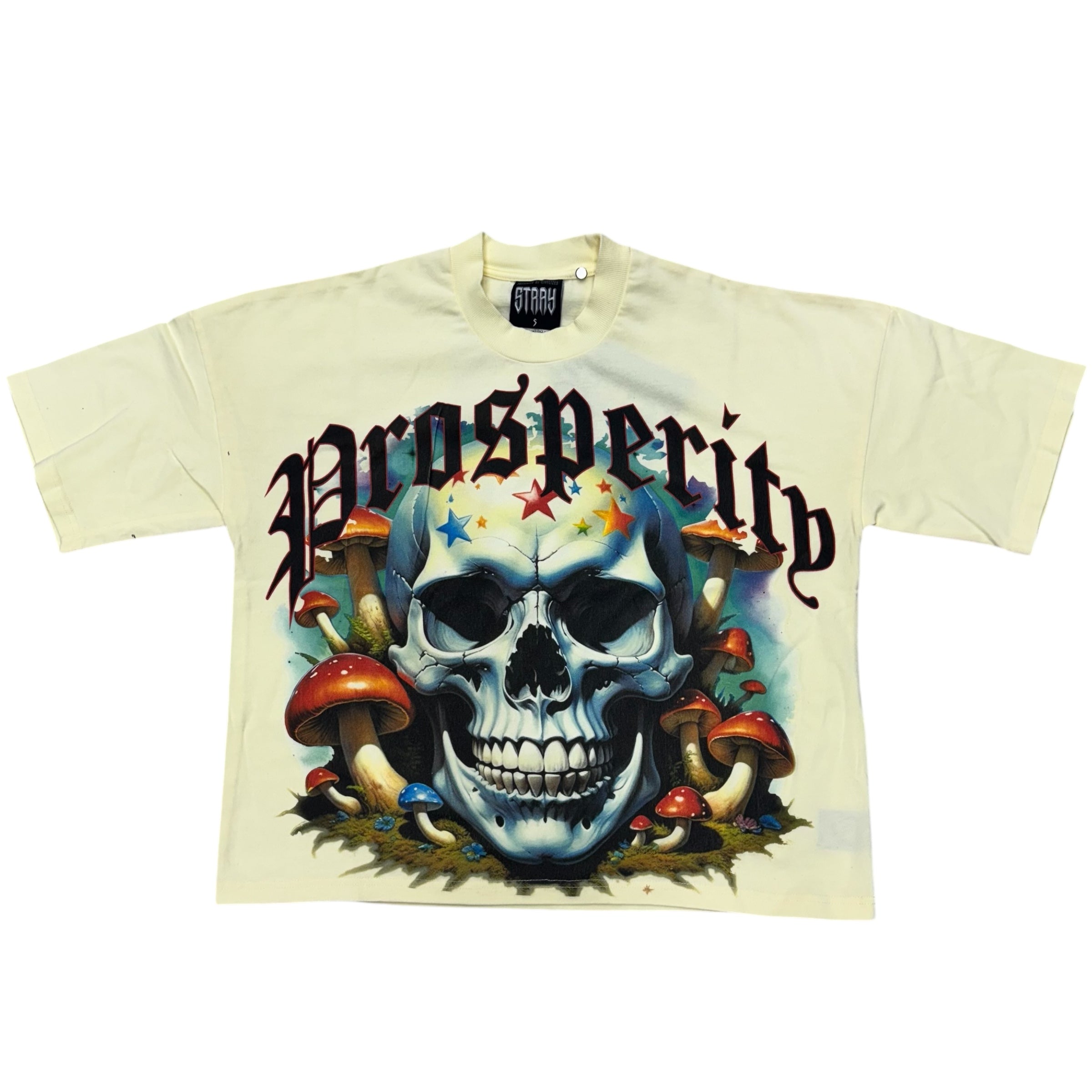 Stray Prosperous Crop T-Shirt Cream T1357