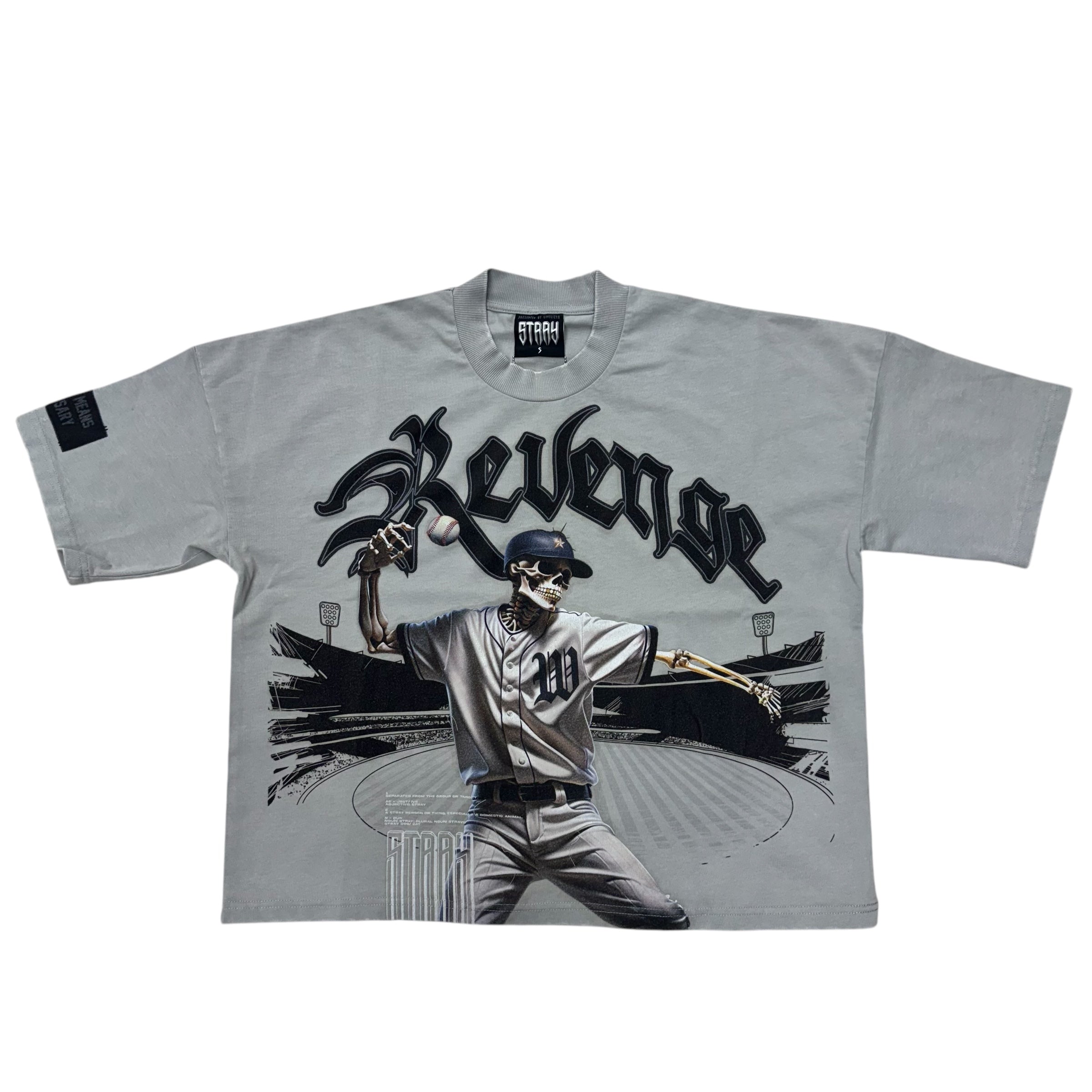 Stray Revenge Crop T-Shirt Grey T1360